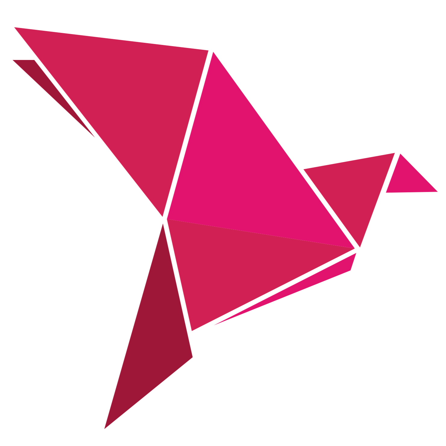 bKash Payment